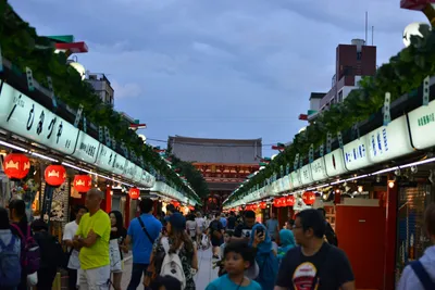 DSC_3976 (Large).JPG